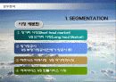 대한항공의 마케팅전략 분석과 향후전망 21페이지
