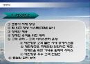 대한항공의 마케팅전략 분석과 향후전망 37페이지