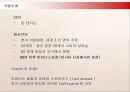 리바이스(Levi’s)의 국내진출 마케팅과 현지화 전략 4페이지