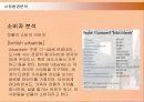 제일모직 빈폴(Bean Pole)의 마케팅전략 성공사례 11페이지