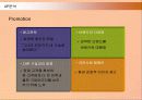 제일모직 빈폴(Bean Pole)의 마케팅전략 성공사례 24페이지