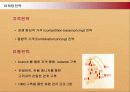 결혼정보회사 듀오(DUO)의 마케팅전략 성공사례 29페이지