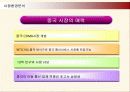 삼성전자 애니콜의 중국시장진출 마케팅전략 5페이지
