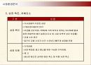삼성전자 애니콜의 중국시장진출 마케팅전략 11페이지