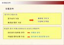 삼성전자 애니콜의 중국시장진출 마케팅전략 22페이지