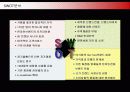 저가화장품 미샤(MISSHA)의 마케팅전략 14페이지
