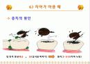 가정에서의 응급처치 19페이지