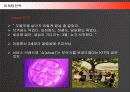 KTF SHOW의 마케팅전략 및 성과와 성공요인 32페이지