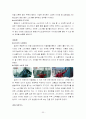  코오롱 스포츠의 해외진출 전략 보고서 33페이지