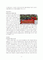  코오롱 스포츠의 해외진출 전략 보고서 45페이지