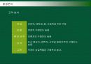 크리스피크림도넛의 마케팅전략과 성공요인 20페이지