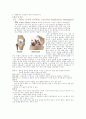 OR-TKA(수술장 사례연구)  2페이지