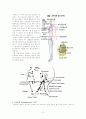 경부 임파선염 환아 (Acute Lymphadenitis of face) case study 2페이지
