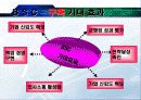 BSC- 성과관리시스템에대해서 20페이지