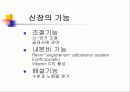 혈액투석 3페이지