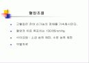 혈액투석 20페이지