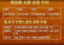 광고전략(스킨푸드) 3페이지