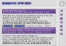 동원참치사례 : 참치전쟁이 주는 교훈 8페이지