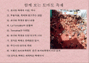 스페인 토마토축제 2페이지