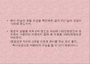 스페인 토마토축제 5페이지