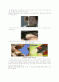 촬영기자가 만든 영상취재 길라잡이. 10페이지