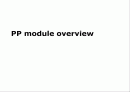 ERP(SAP)-PP모듈의 상세정보내용 1페이지