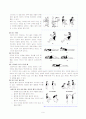 요통의 원인과 운동처방 9페이지