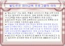 발도르프 유아교육 프로그램 3페이지