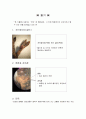 줄기에 대하여 1페이지