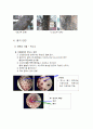 줄기에 대하여 2페이지