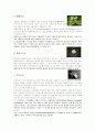   버섯의 면역   9페이지