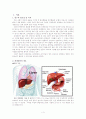 HCC(간세포암) Case study 3페이지