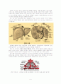 HCC(간세포암) Case study 4페이지