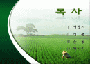 행복한 삶을 위한 웰빙(well-being) 2페이지