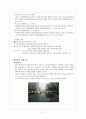 청계천 관광개발 5페이지