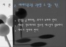 [광고와 언어]광고와 패러디 4페이지