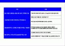 세계 최고 일하기 좋은 창의기업 구글(Google) 12페이지