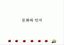 문화와 사회심리 ppt 10페이지