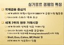 작지만 강한나라 싱가포르 15페이지