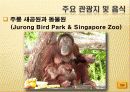 작지만 강한나라 싱가포르 22페이지