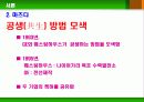 형광등의 사회적 구성 6페이지