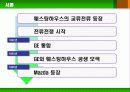 형광등의 사회적 구성 8페이지
