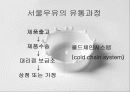 서울우유의 유통과정 - 판매전략 7페이지