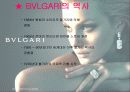 버버리vs불가리 3페이지