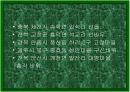현대 사회와 성문화 20페이지