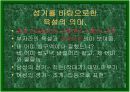 현대 사회와 성문화 29페이지