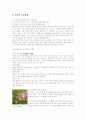 타박상(Contusions)의 원인과 증상 및 의학적 치료방법 3페이지
