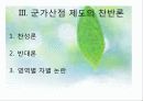 군가산점제도에 대한 고찰... 11페이지