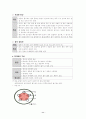 초등학교 과학 백합의 물 이동 실험 및 단원 지도시 교사가 알아야 할 내용 정리 11페이지