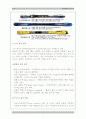 스키의 기원과 역사와 특징 및 종류, 장비 7페이지